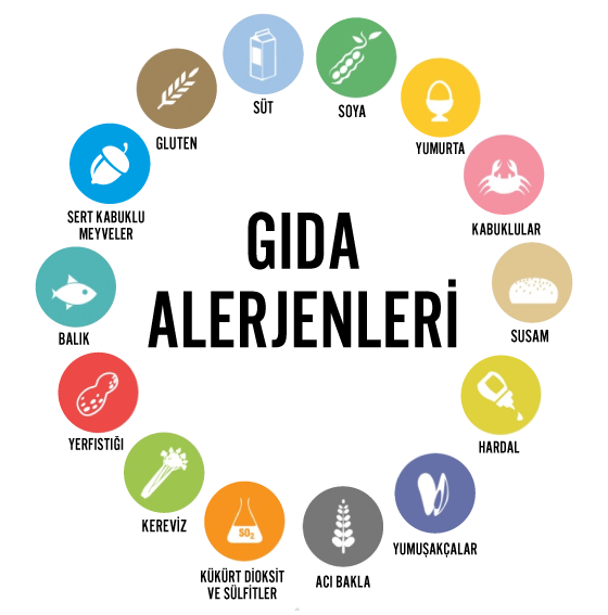 ALERJENLER